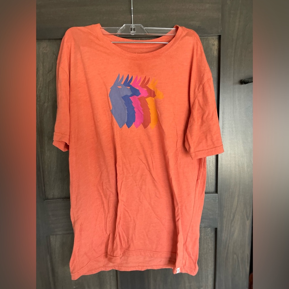 Cotopaxi Orange Tee with Colorful Graphic